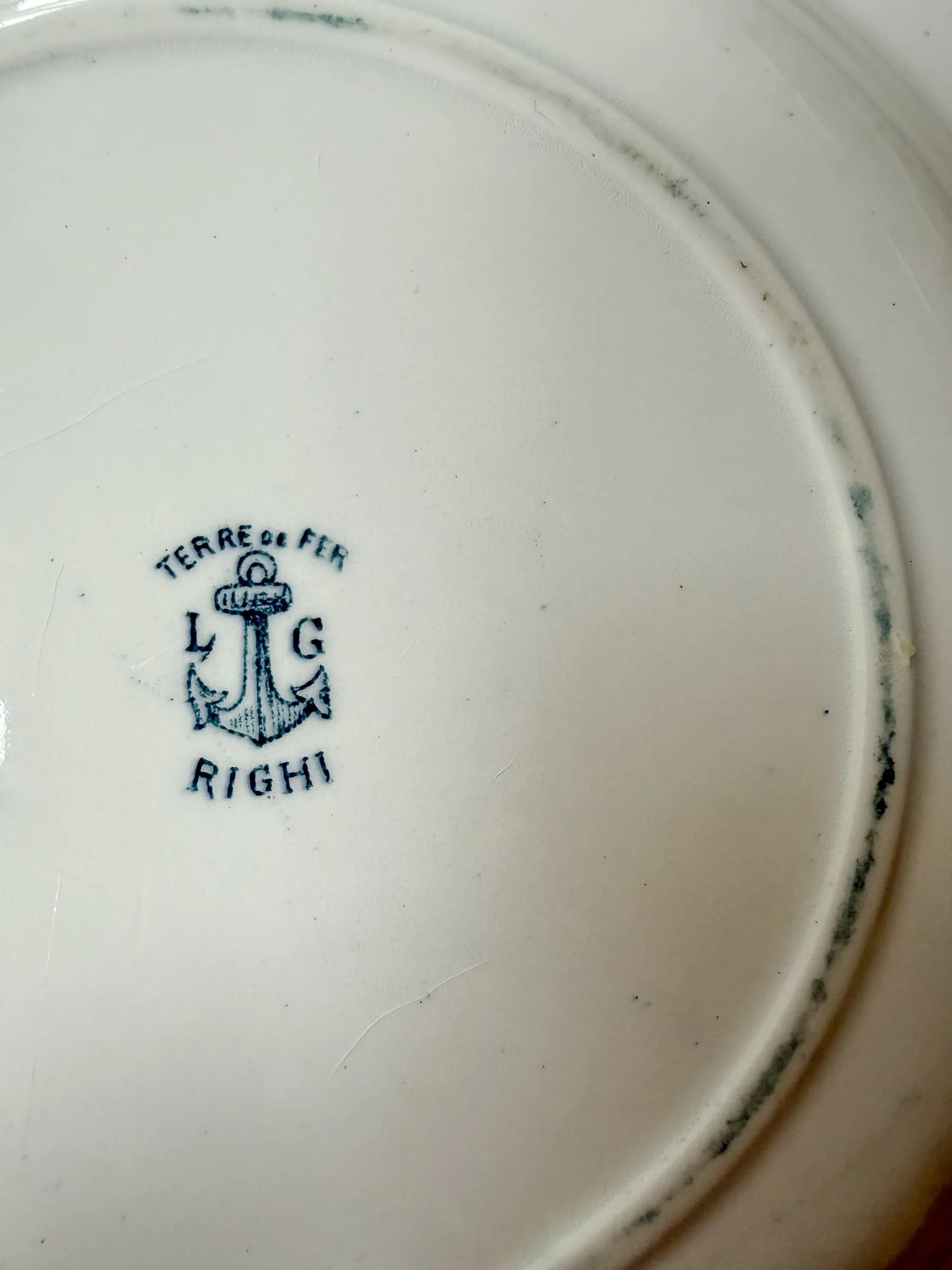 19th Century Antique French Ironstone Blue Floral Terre de Fer Plates